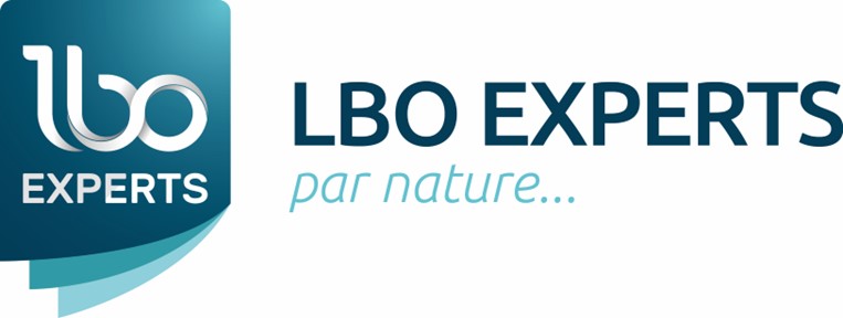 LBO-EXPERTS-logo